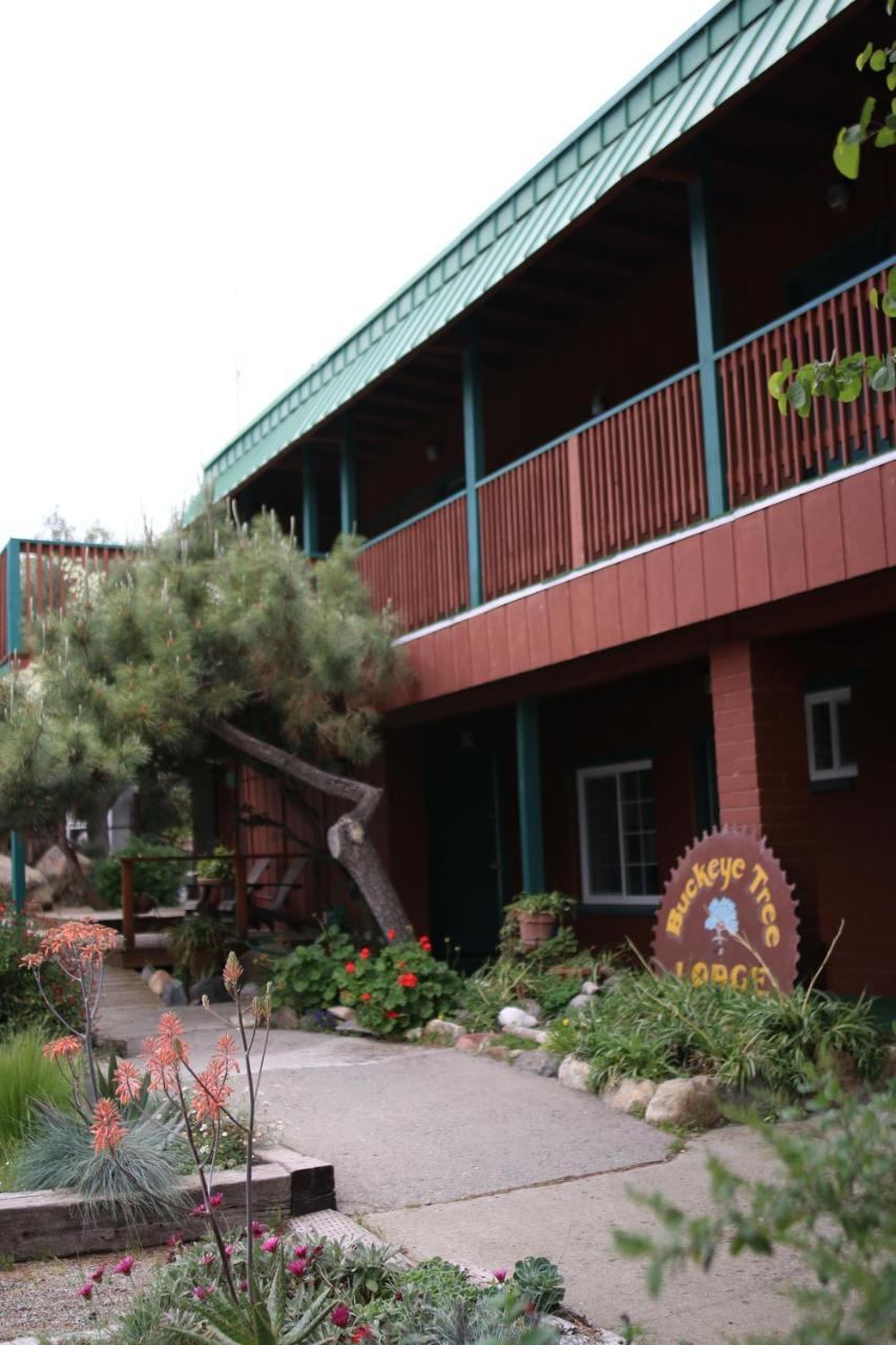 Buckeye Tree Lodge Three Rivers Exterior photo